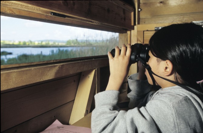 Vogelbeobachtung aus den Beobachtungshütten