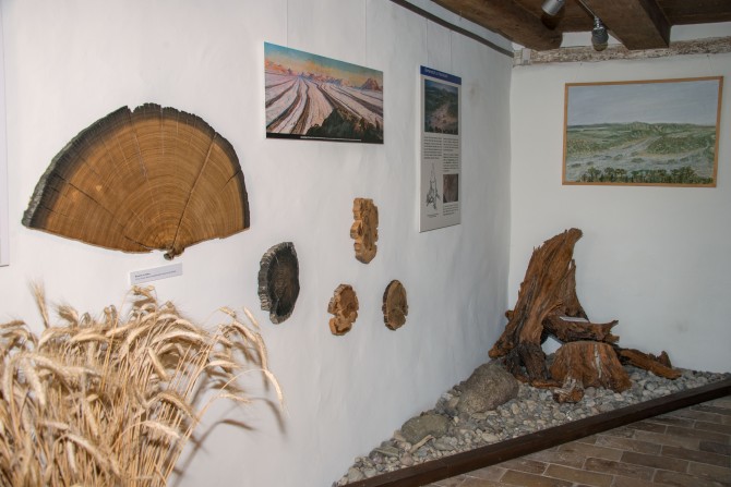 *Geschichte unseres Dorfes 1