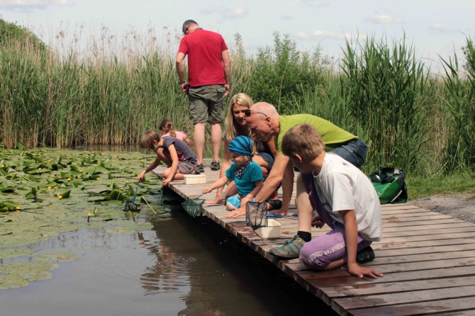 Kleintiere keschern auf einer Gruppenführung