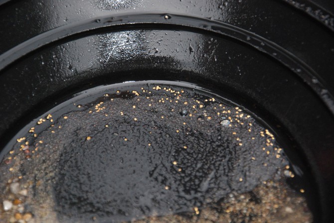 Ausbeute nach dem Goldwaschen!