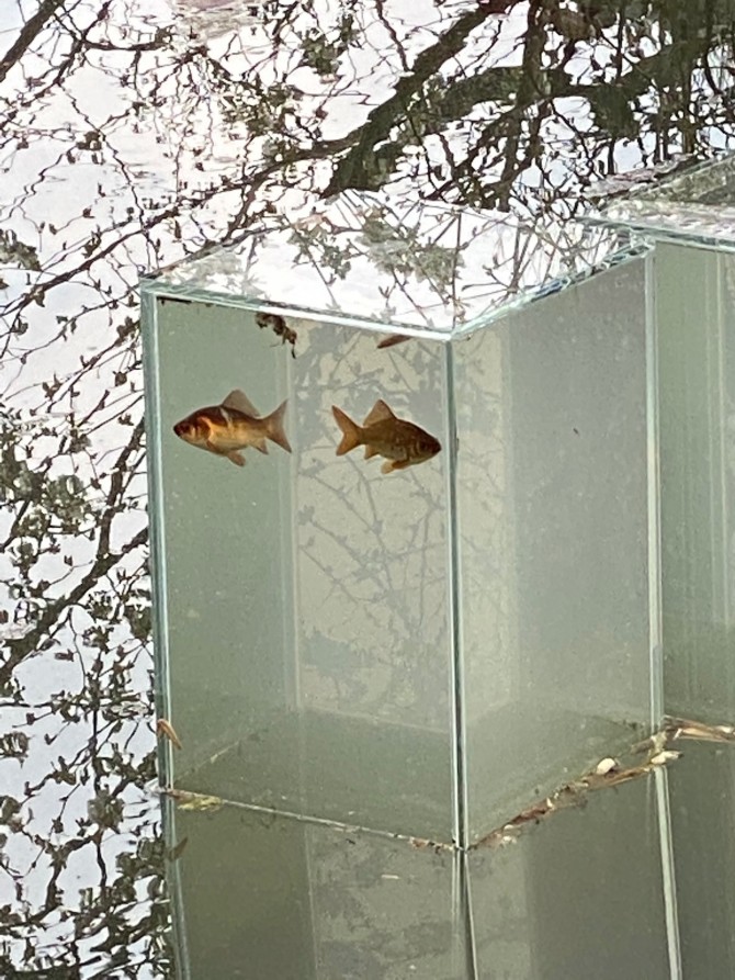 huber.huber Funktionale Verstädterung- Städte voller Glück
Biennale 2021